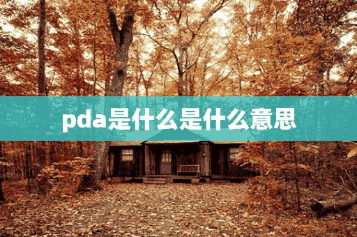 pda是什么是什么意思(pda 是什么意思)